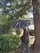 Parasol Umbrella - View 2