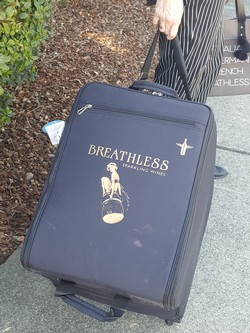 Wine Check Suitcase